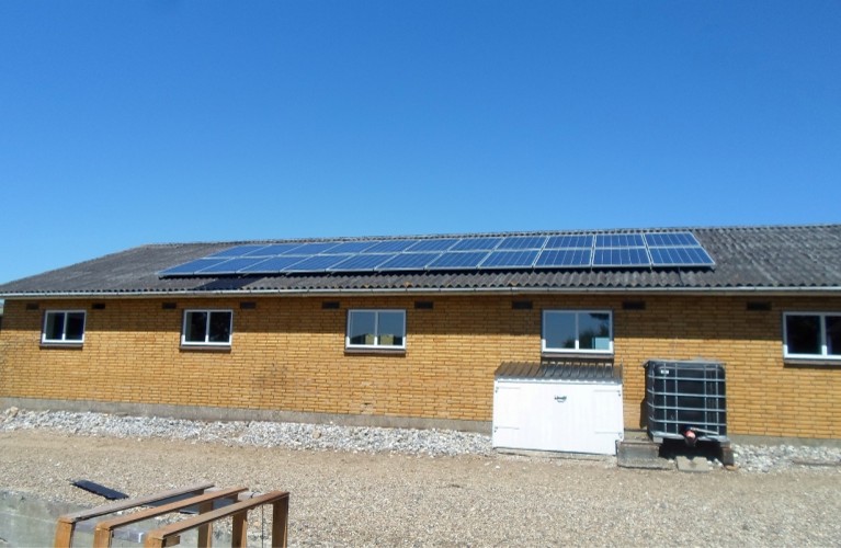 kategorliste billede