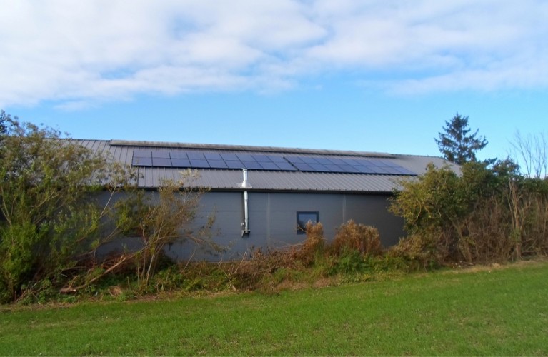 kategorliste billede