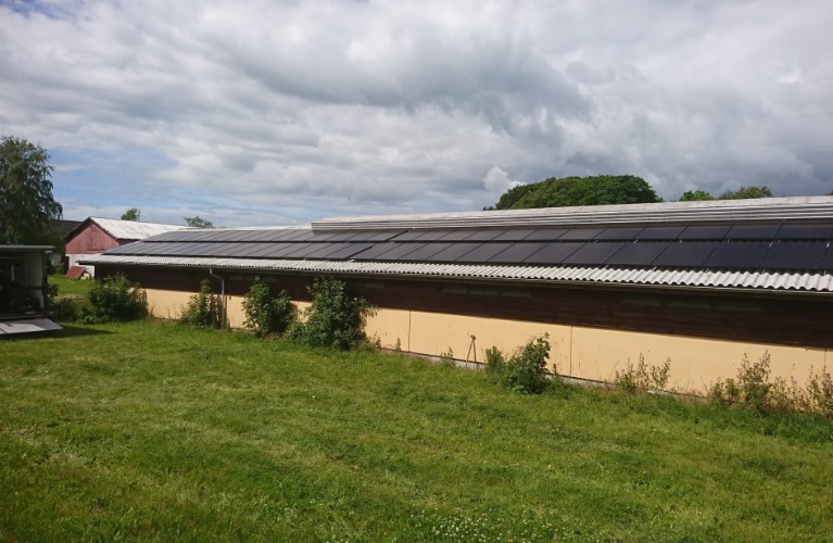 kategorliste billede